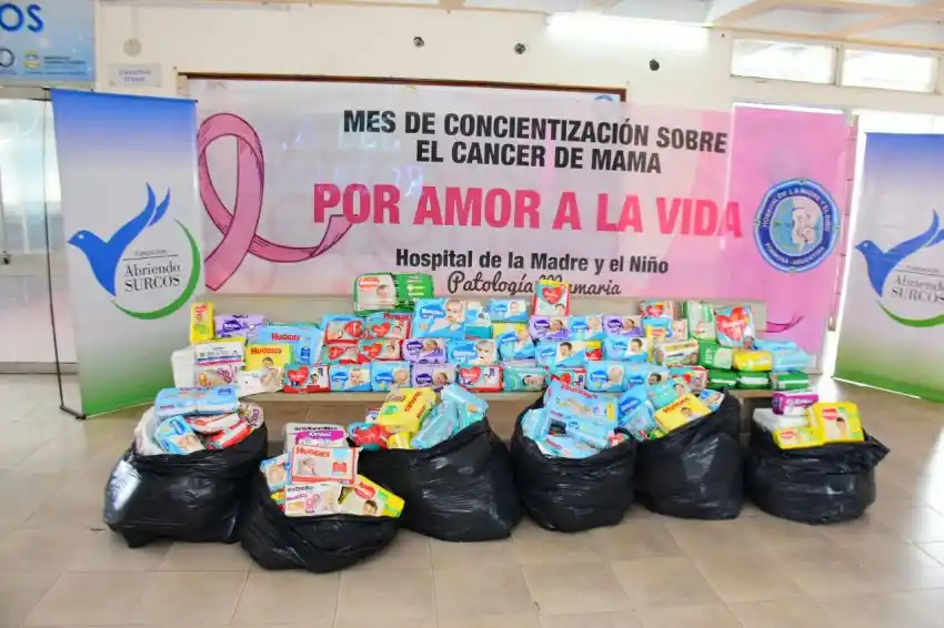 Octubre Rosa: Fundaciones entregaron donaciones al Hospital de la Madre y el Niño
