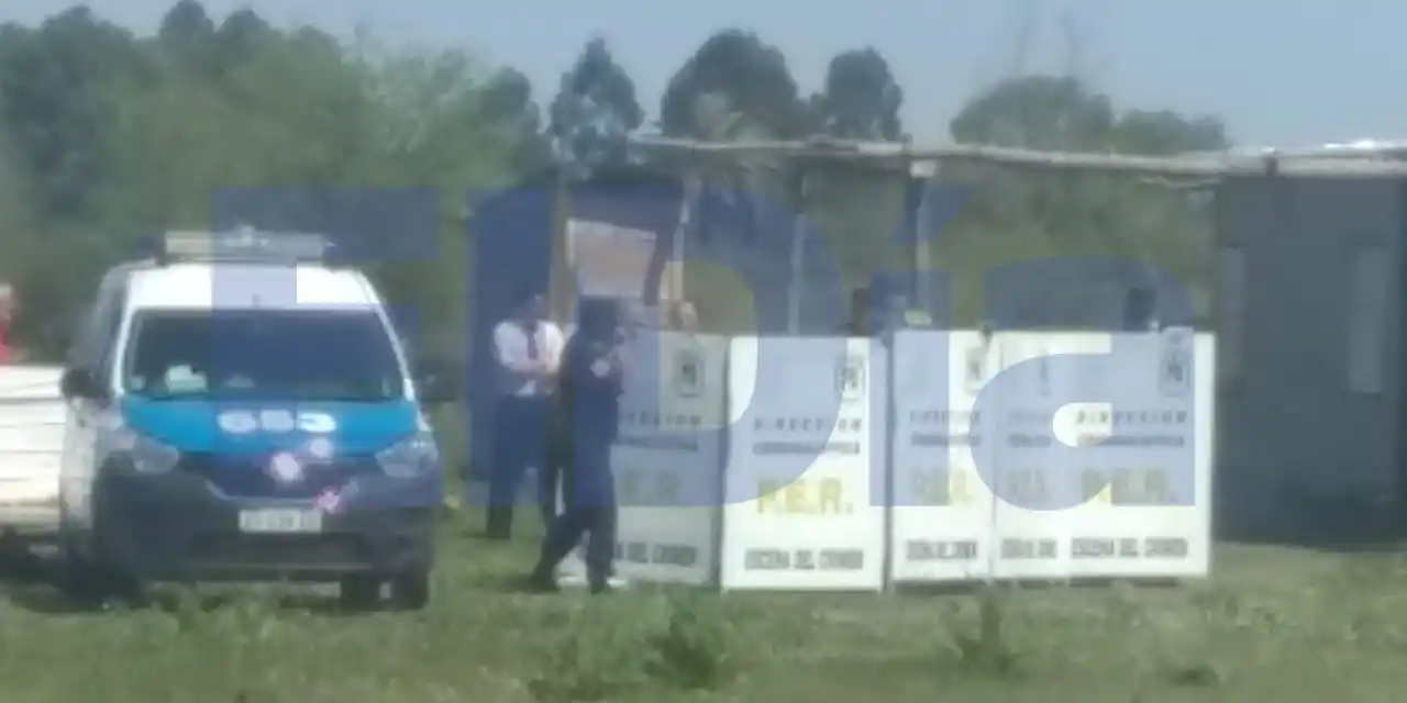 "No hay motivos para comprometer a Gómez, no es un asesino", dijo Vitale