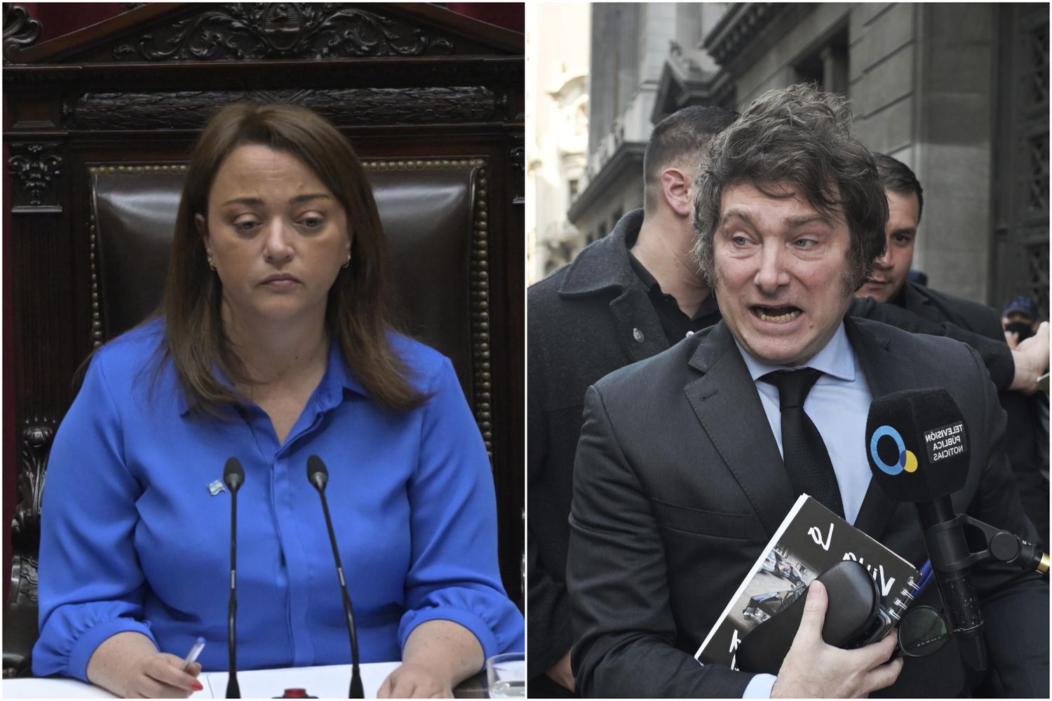 En plena sesión por el atentado a Cristina, Cecilia Moreau y Javier Milei se cruzaron por el "lenguaje inclusivo"