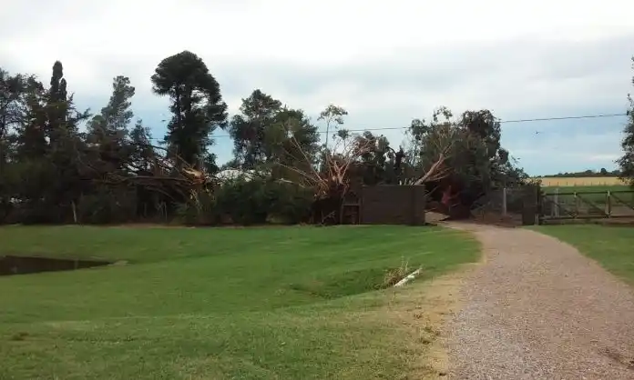 Temporal de viento dejó severos daños en General Villegas