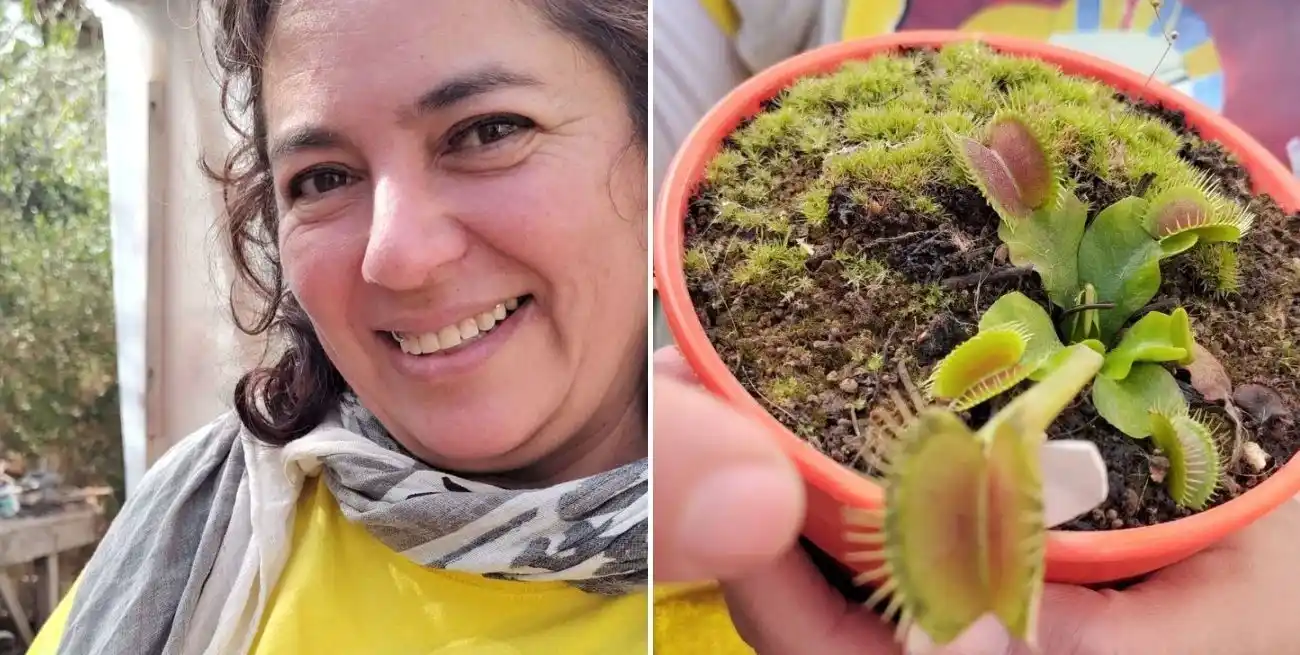 Ana cultiva plantas carnívoras en Pueblo General Belgrano, departamento Gualeguaychú de la provincia de Entre Ríos.