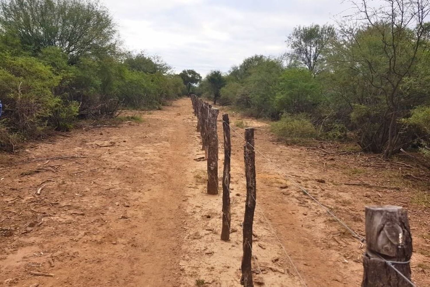 Prácticas agropecuarias para prevenir incendios rurales.