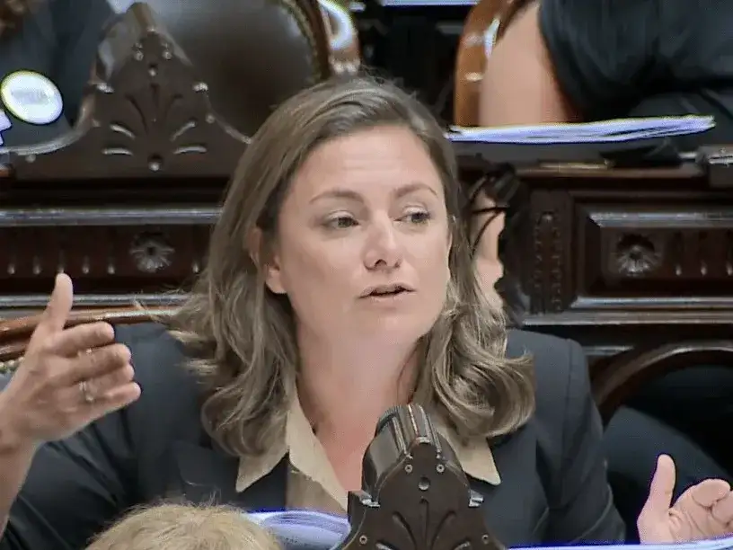 La iniciativa es encabezada por la diputada Vanesa Siley, de Unión por la Patria.