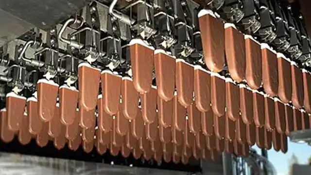 Grido suma la mayor “palitera” del mundo