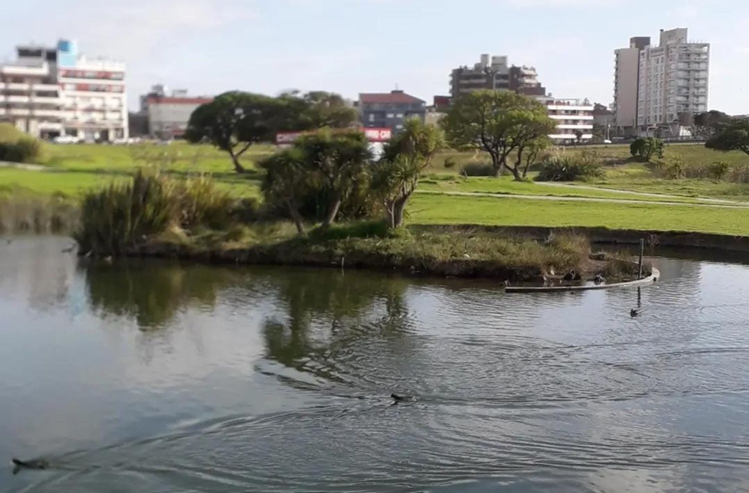 Jornada ambiental en Punta Mogotes: limpieza de lagunas y recolección de desechos tecnológicos