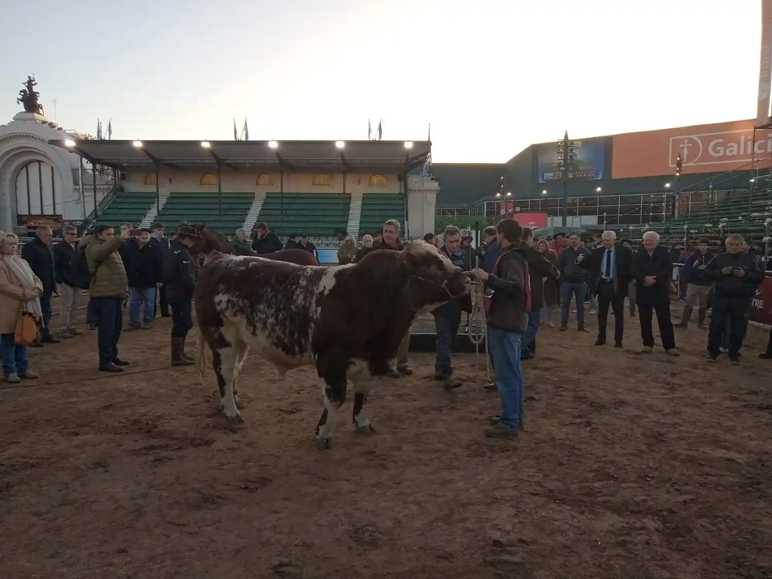 Ya se palpita la Expo Rural: comienzan a llegar los primeros animales