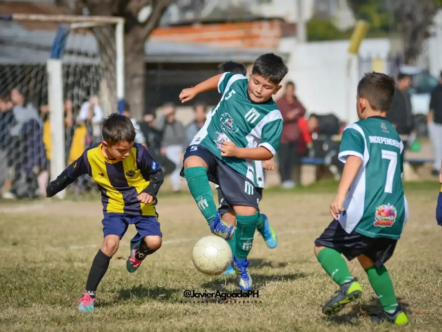Fútbol infantil: todos los clasificados a la ronda final