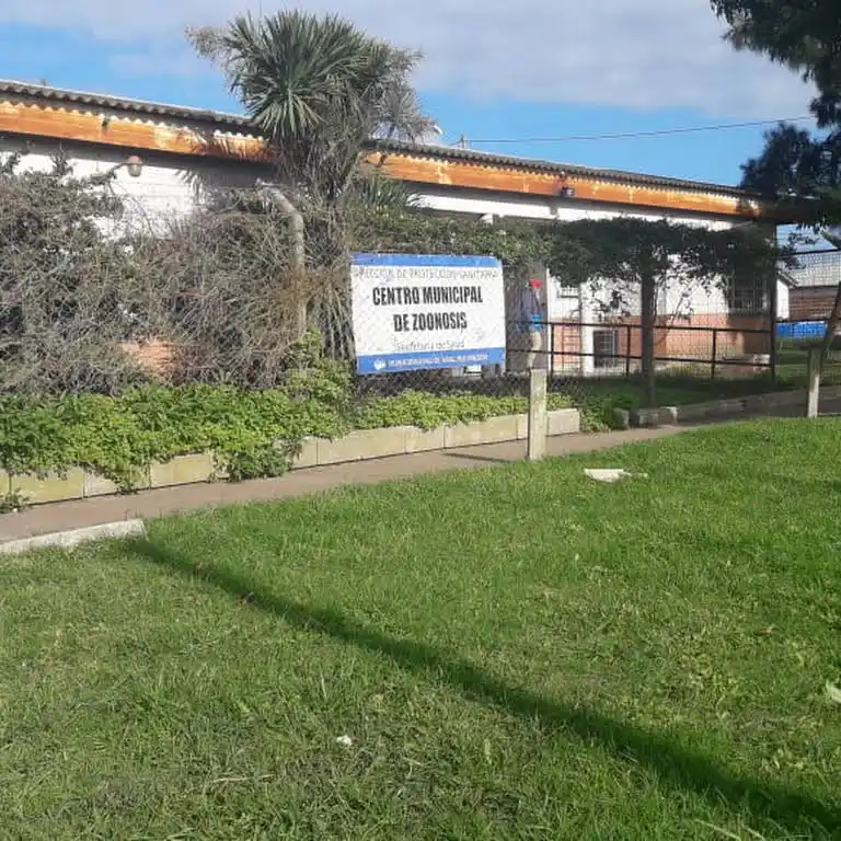 Mar del Plata: Denuncian que Zoonosis asesina a los perros rescatados de la calle