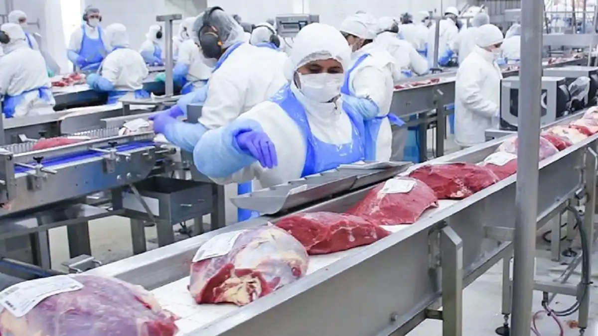 ¡ALÓ NAHÚM FERNÁNDEZ! GDC tiene un «MONO» de 15 años con distribuidores de carne