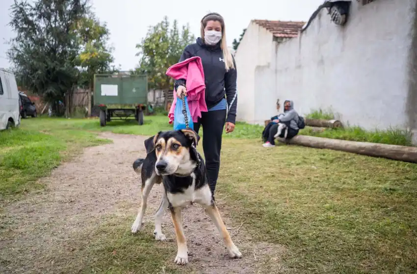 El quirófano móvil para mascotas se muda al barrio Autódromo