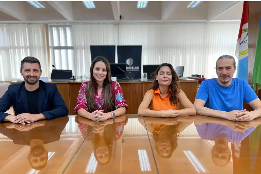 Epidemia de dengue: concejales pidieron un informe de plan para hacerle frente 