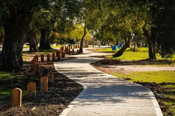 Espacios públicos: Avanzan los trabajos en el nuevo Paseo de La Delfina