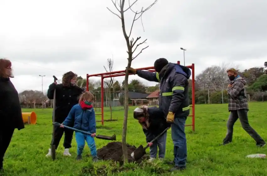 Ya se plantaron más de 2 mil árboles en 44 barrios de la ciudad