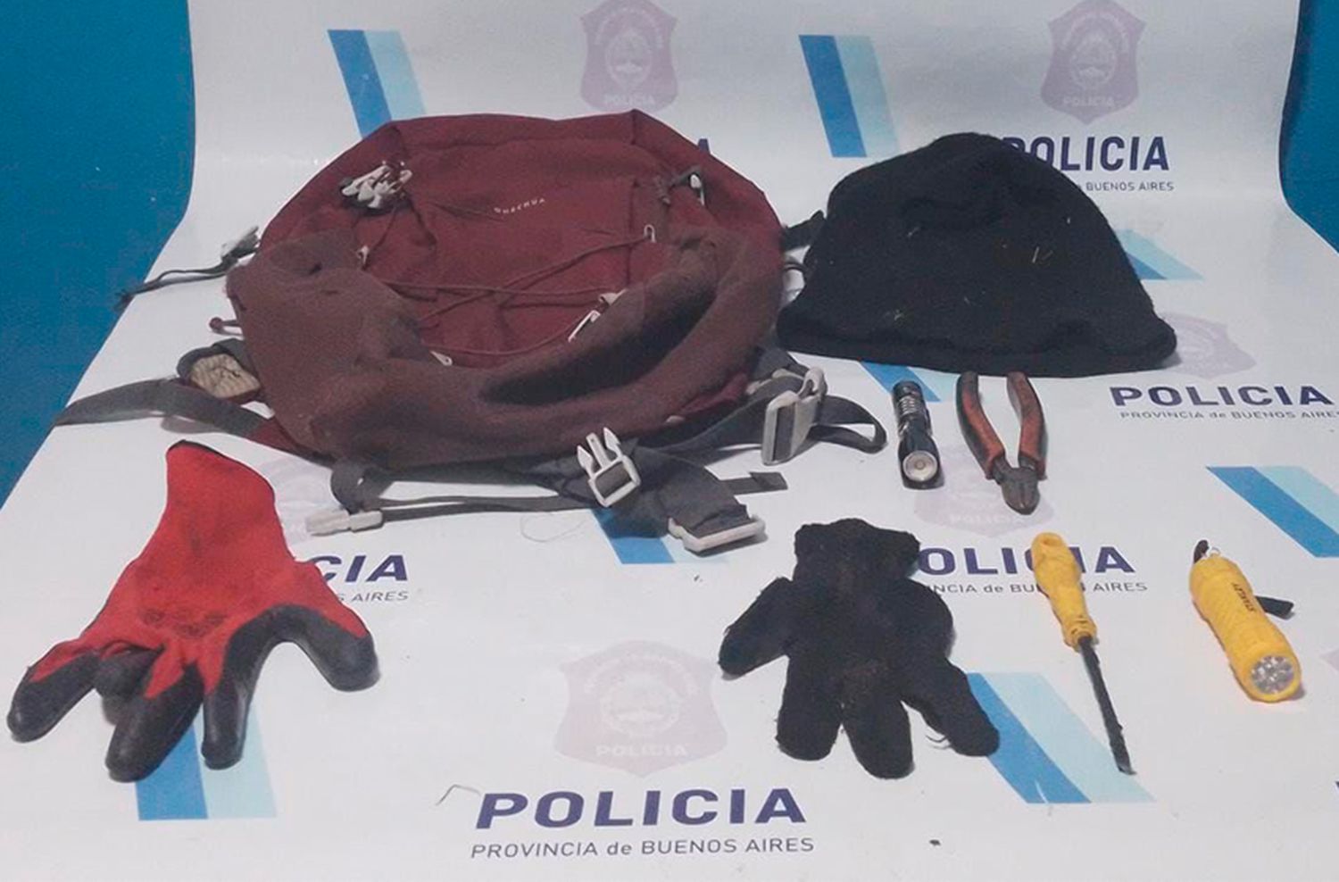 Lo atraparon en el patio de una casa en Los Pinares