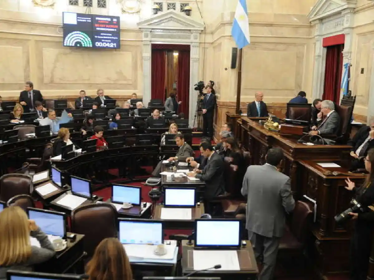 El Senado comienza a debatir en comisión una ley de regularización del trabajo en negro 
