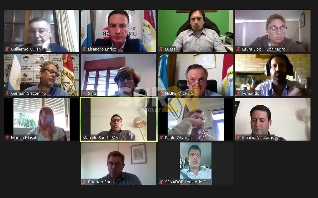 El senador Enrico mantuvo un encuentro virtual con representantes del sector productivo agropecuario