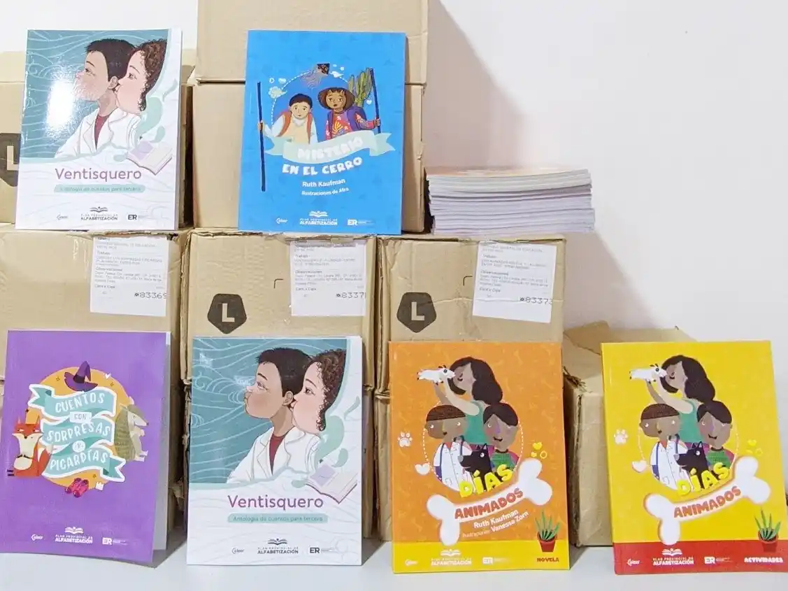 El CGE licitó la impresión de más de 103.000 libros para el próximo ciclo lectivo