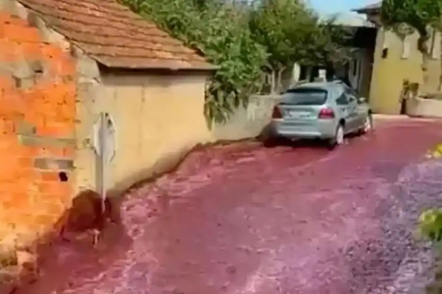 Tras la explosión de tanques en una bodega un pueblo se inundó de vino 