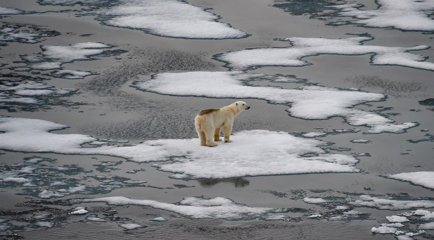 La ONU advirtió sobre las emisiones de CO2: deberían tocar su techo en 2025