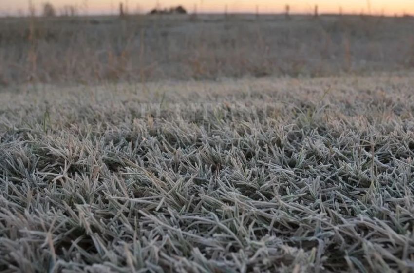 Abril finalizó con 1 a 3 días con temperaturas por debajo de los 3°C.