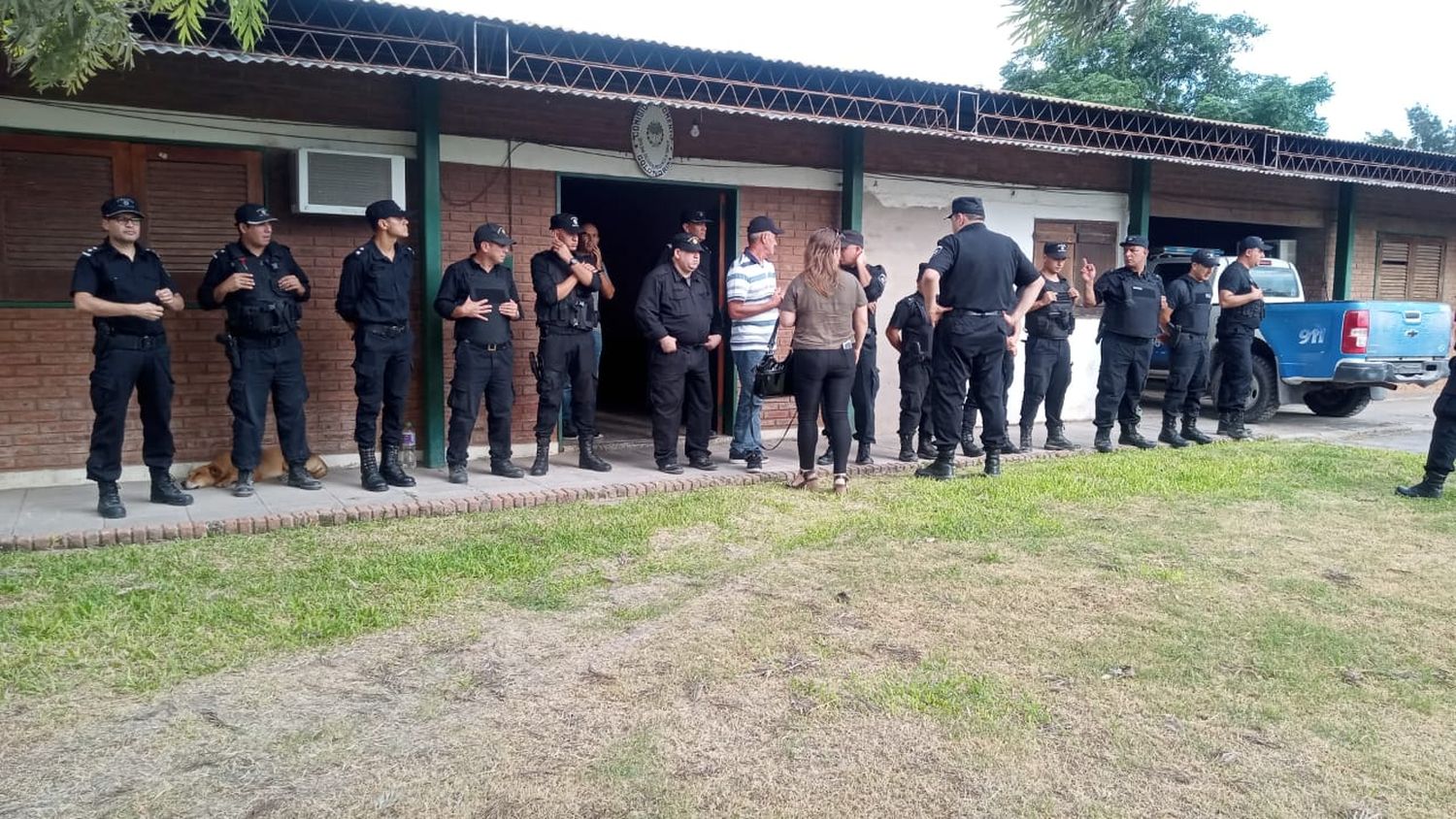 Golondrina, al momento de la intervención.