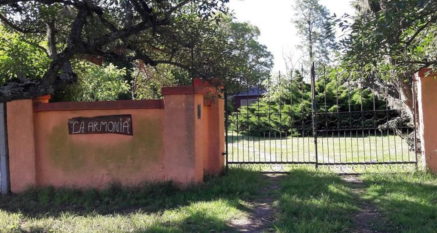 Para Manso,  Cristina Mateos mató a Tito Boccardo para quedarse con sus bienes