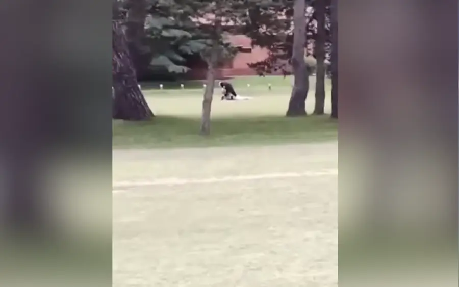 Captura del video