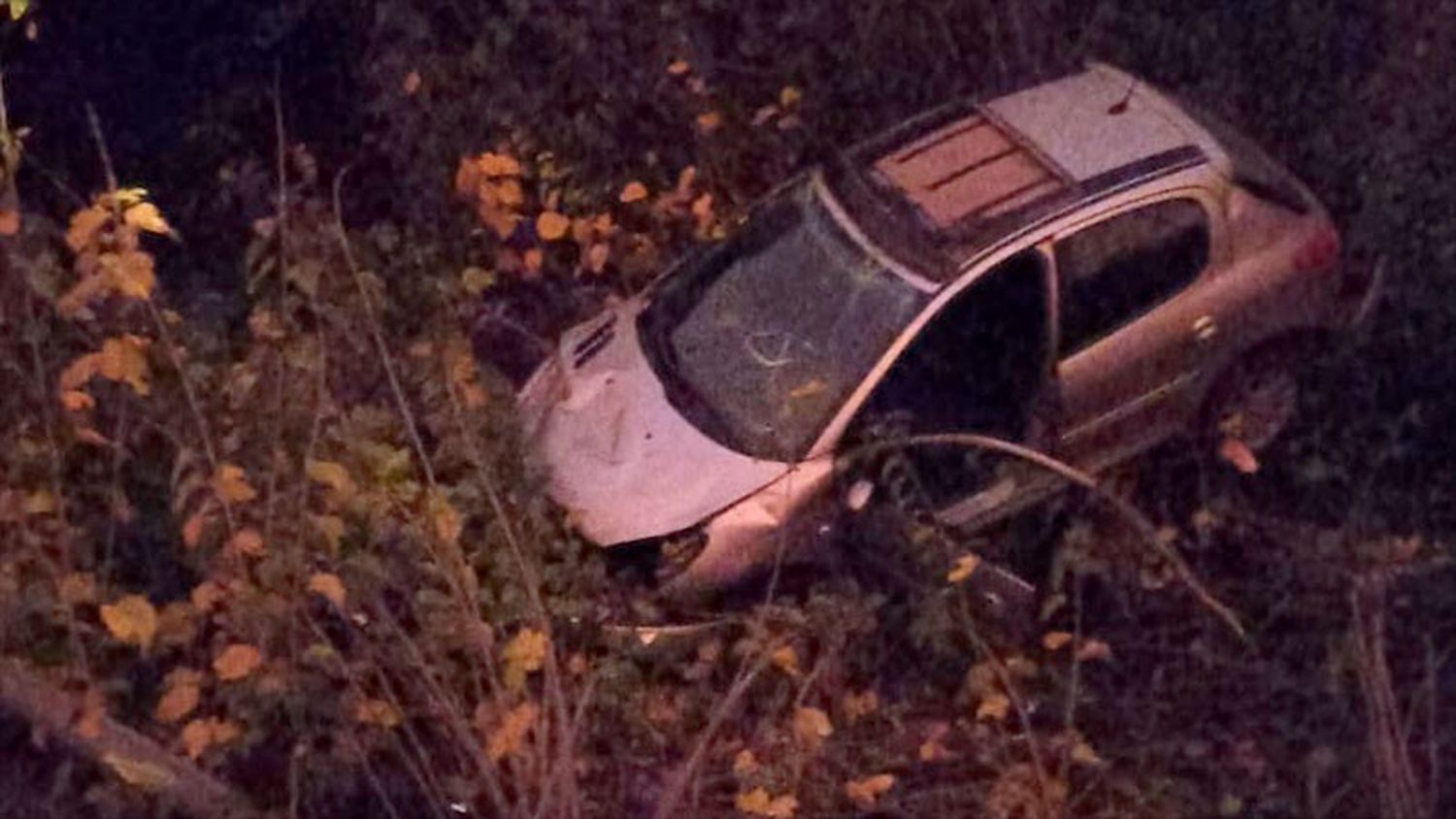 Esquivó un tronco que estaba en la ruta y cayó con su auto a un arroyo