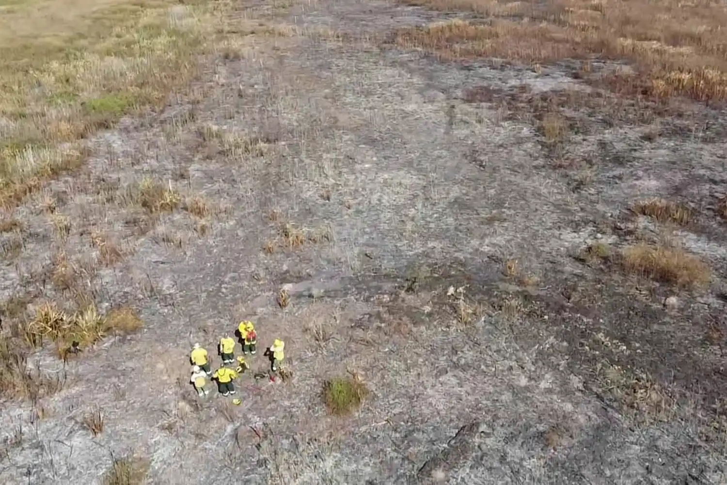 Confirman que están controlados los focos de incendio detectados en islas del Delta