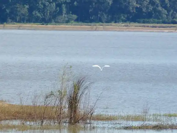 Un vecino cayó al lago mientras pescaba y falleció