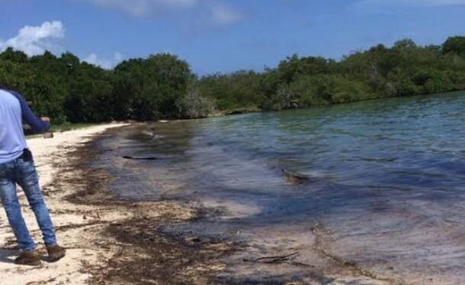Nuevo derrame de petróleo en El Palito contamina costas falconianas