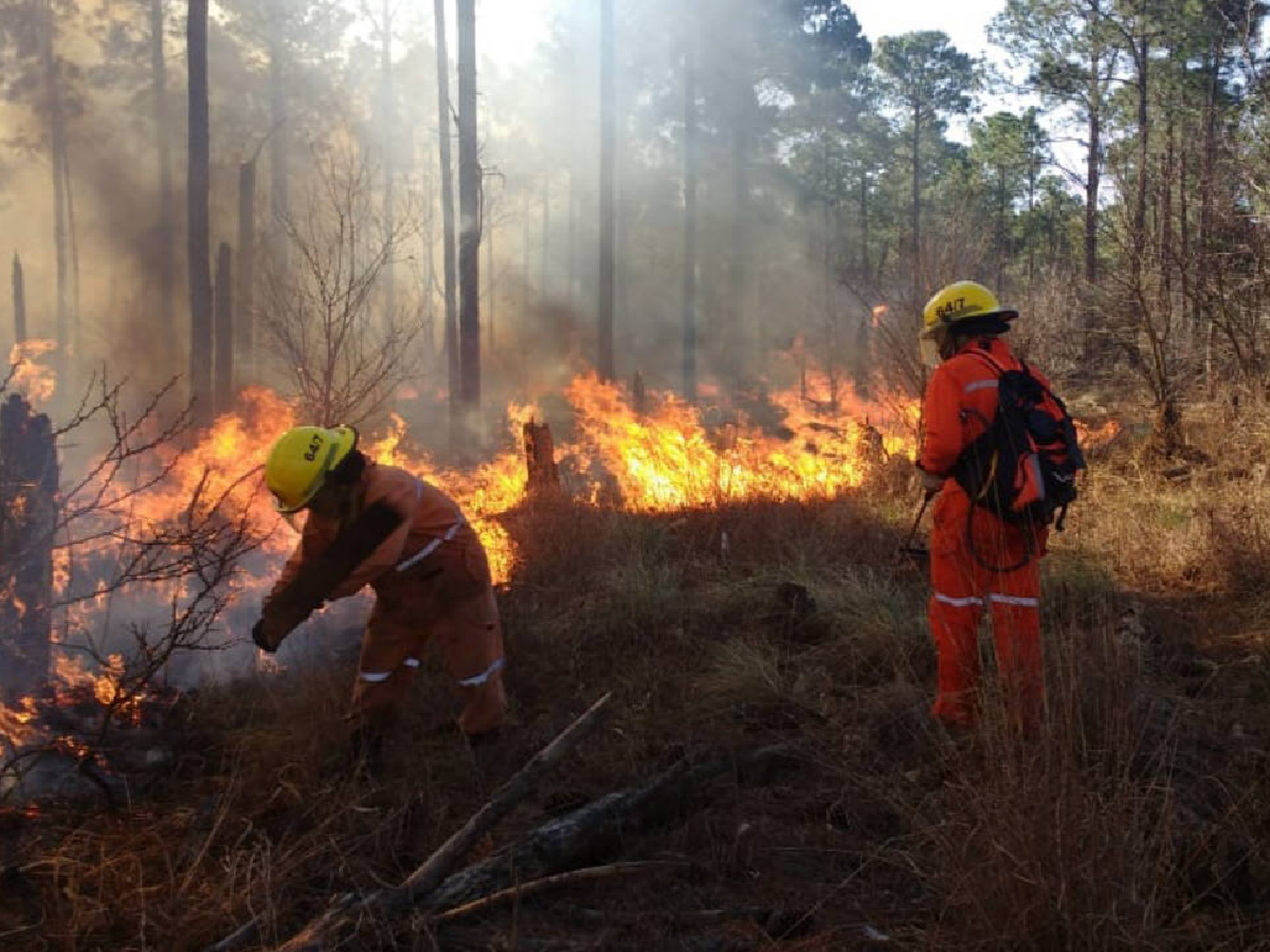 Advierten por "alto riesgo de incendio" en las sierras de Córdoba