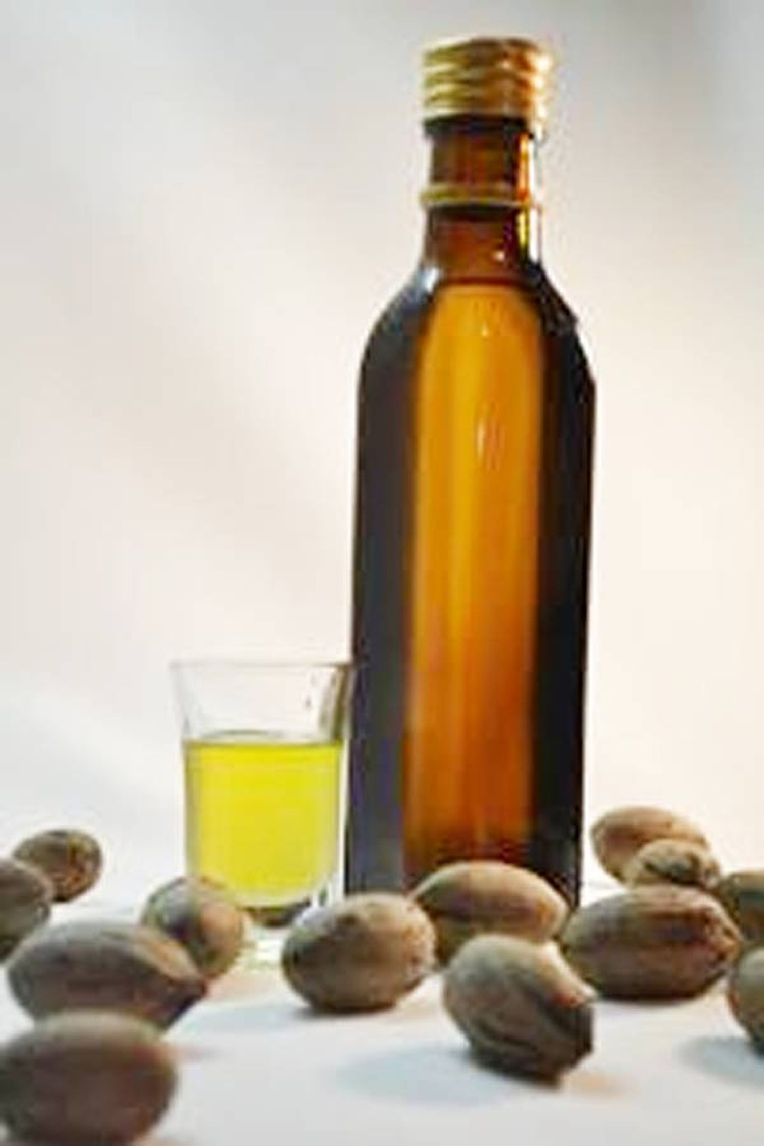 Elaboración de aceite  de nuez pecán