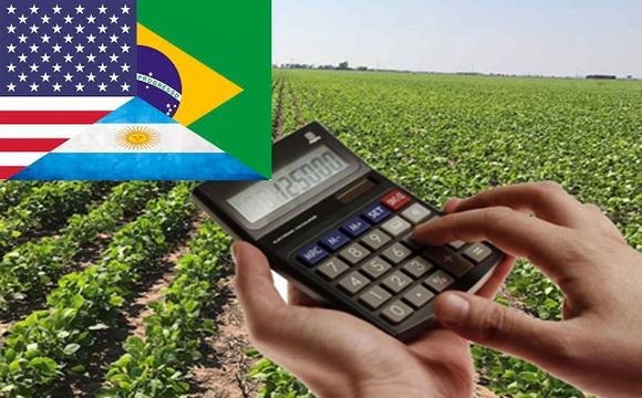 Márgenes comparados Argentina, Brasil y Estados Unidos