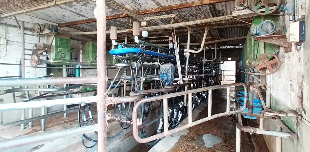 Producción. Relevaron 12 tambos en Olavarría
