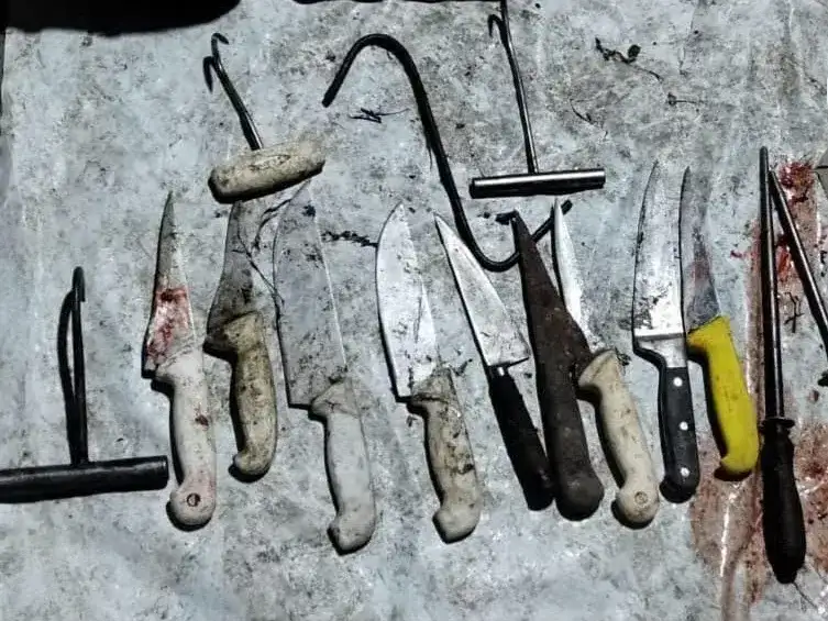Los Pumas secuestraron armas, más de 200 municiones y 300 kilos de carne vacuna en dos operativos - 4