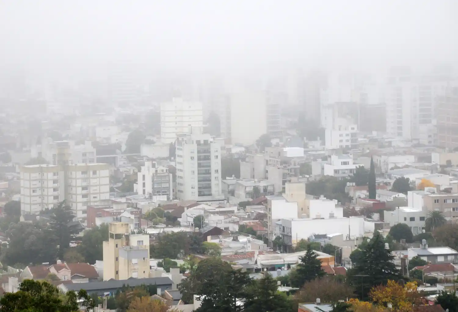 La ciudad se ve afectada por neblinas y bancos de niebla.