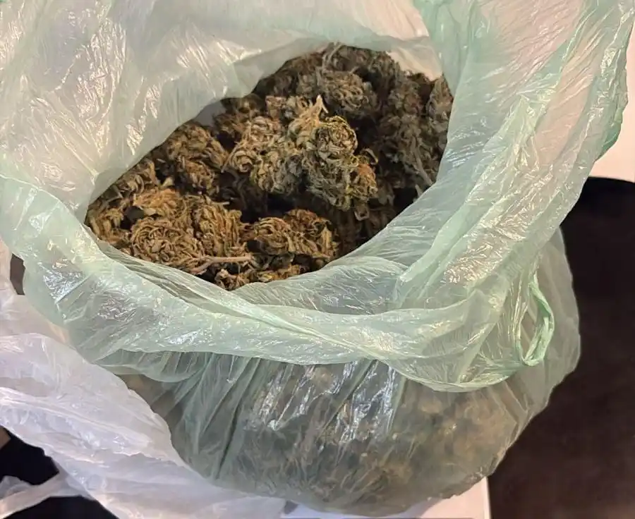 Operativo en ruta 3: interceptaron un rodado con medio kilo de marihuana
