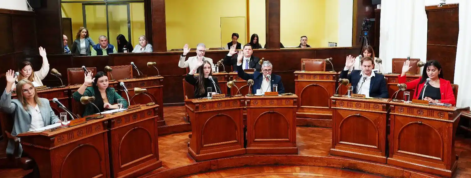 Proyecto para terminar con la tracción a sangre