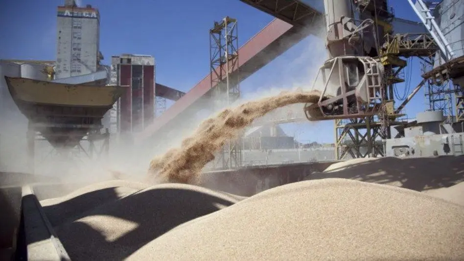 Exportadores agrícolas deberán liquidar tributos de forma automática