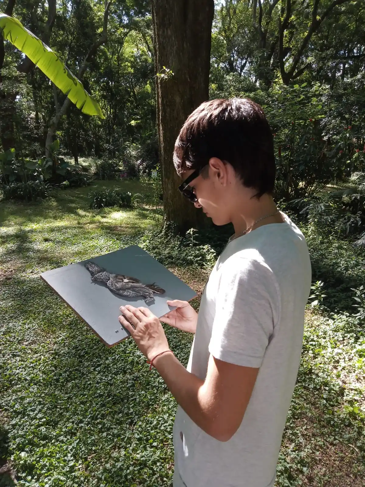 Iniciativa inclusiva y con amplia convocatoria