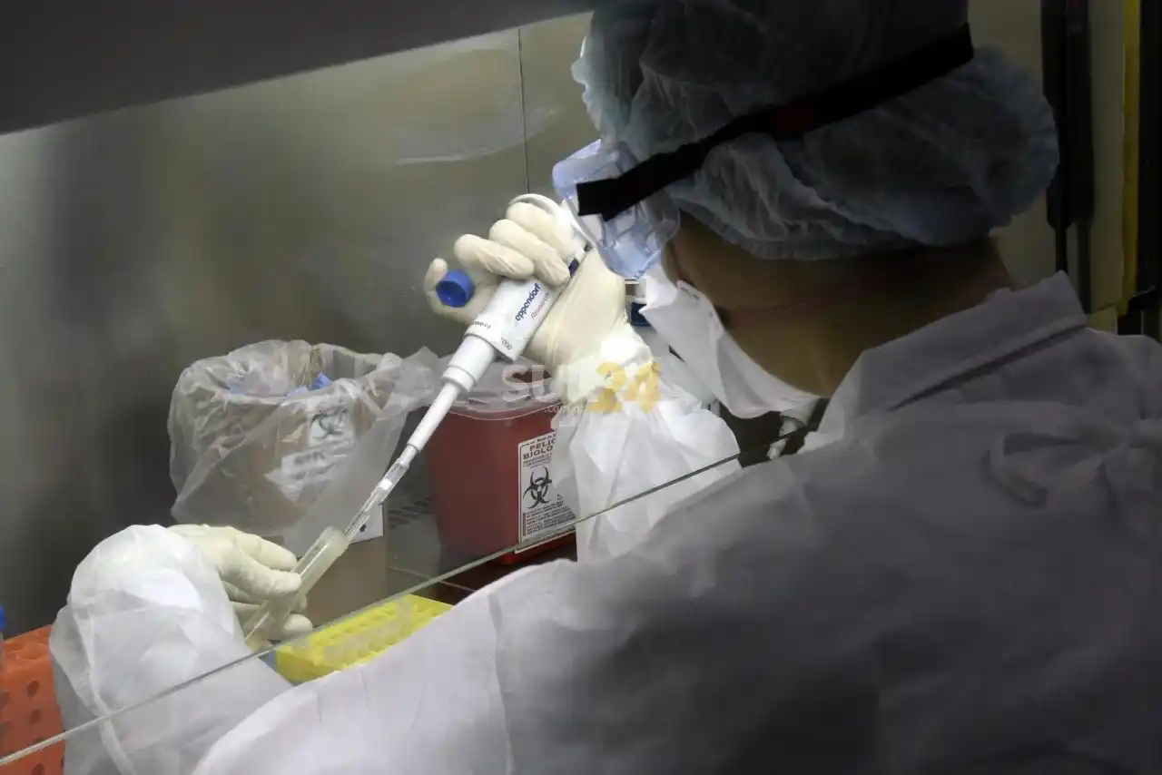 Sin variante Delta en la región, solo un 4 %  de los casos pertenece al virus Covid original