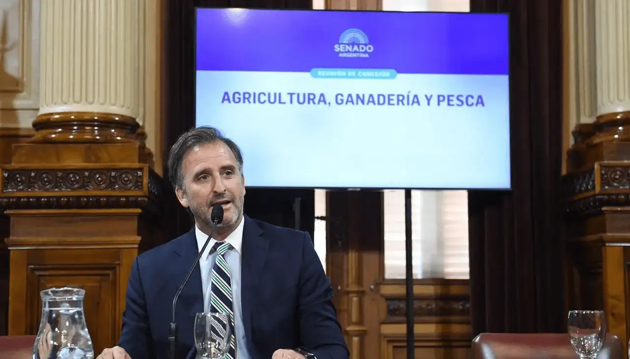 Joaquín Benegas Lynch, presidente de la Comisión de Agricultura, Ganadería y Pesca en el Senado.