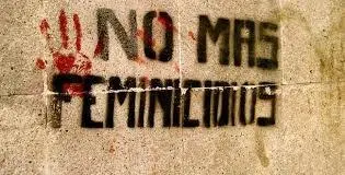 Preocupante: En 2017 hubo 292 femicidios, 2 más que en 2016