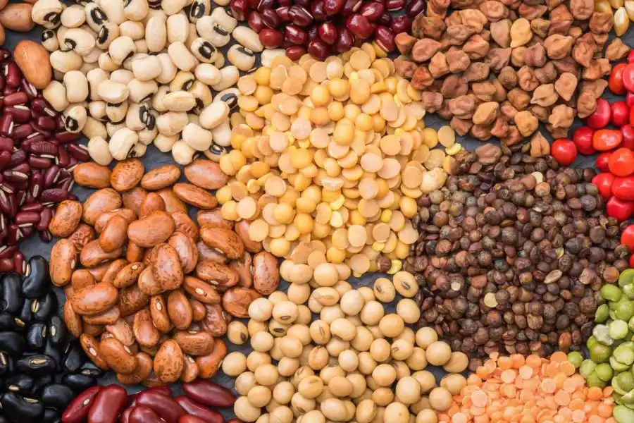 Día Mundial de las Legumbres: conocé cinco curiosidades sobre estos alimentos