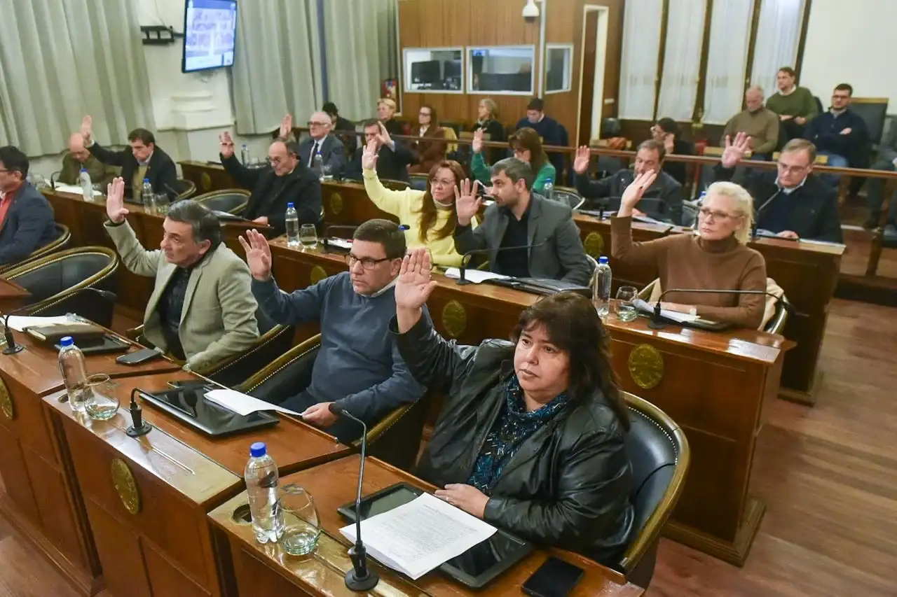Solicitan la intervención del Consejo Profesional de Ciencias Económicas para un informe técnico independiente
