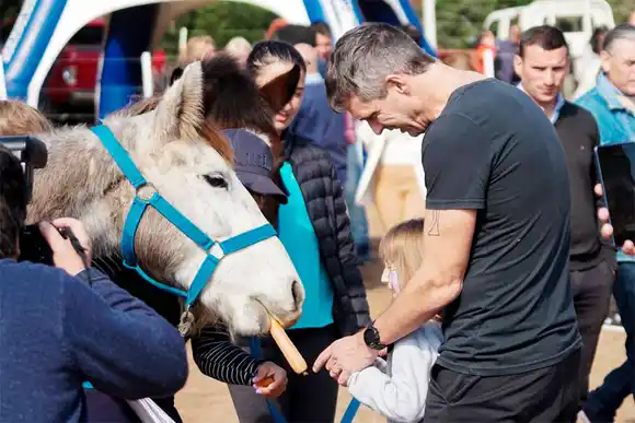 Se entregaron más equinos,  recuperados del maltrato 