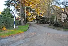 Bromatología elevó a la  Defensoría  el informe por los perros  envenenados en el Golf