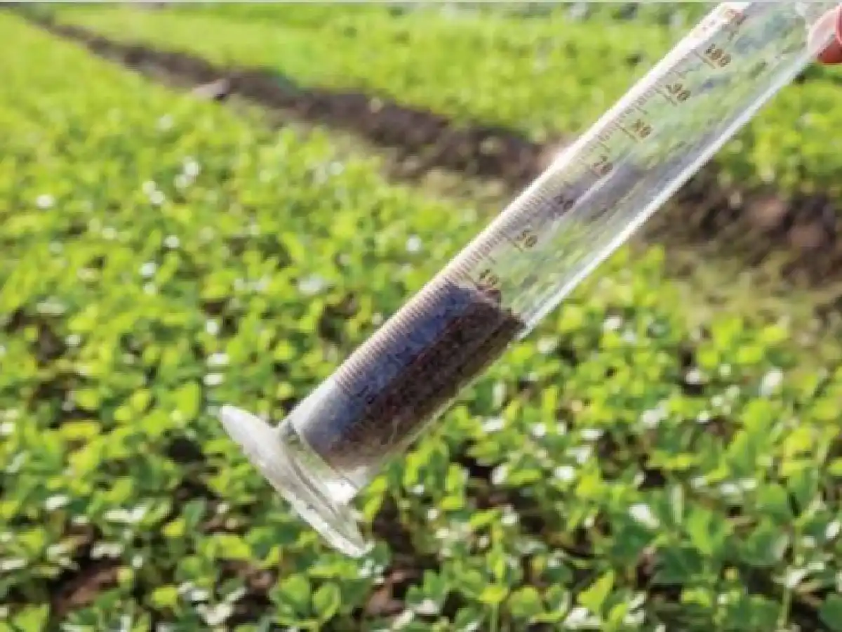 Un laboratorio agroecológico regional, en Balnearia             