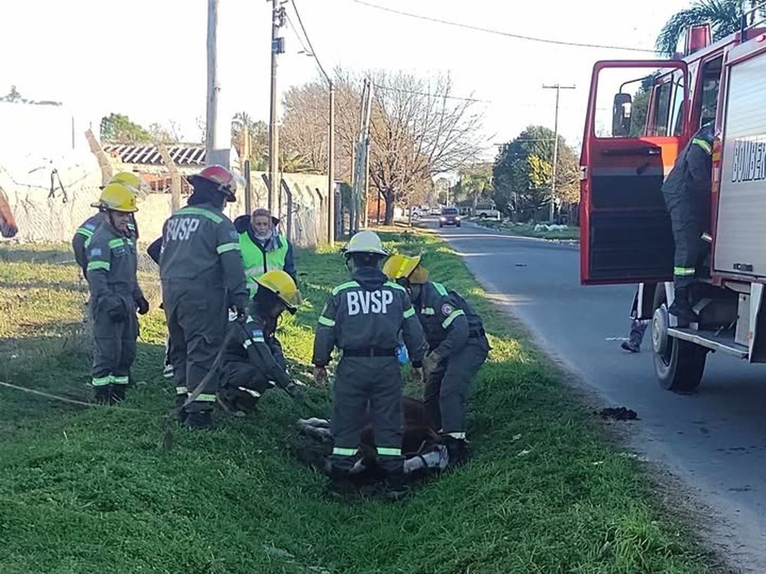 Bomberos rescató a un caballo que se había caído a una zanja